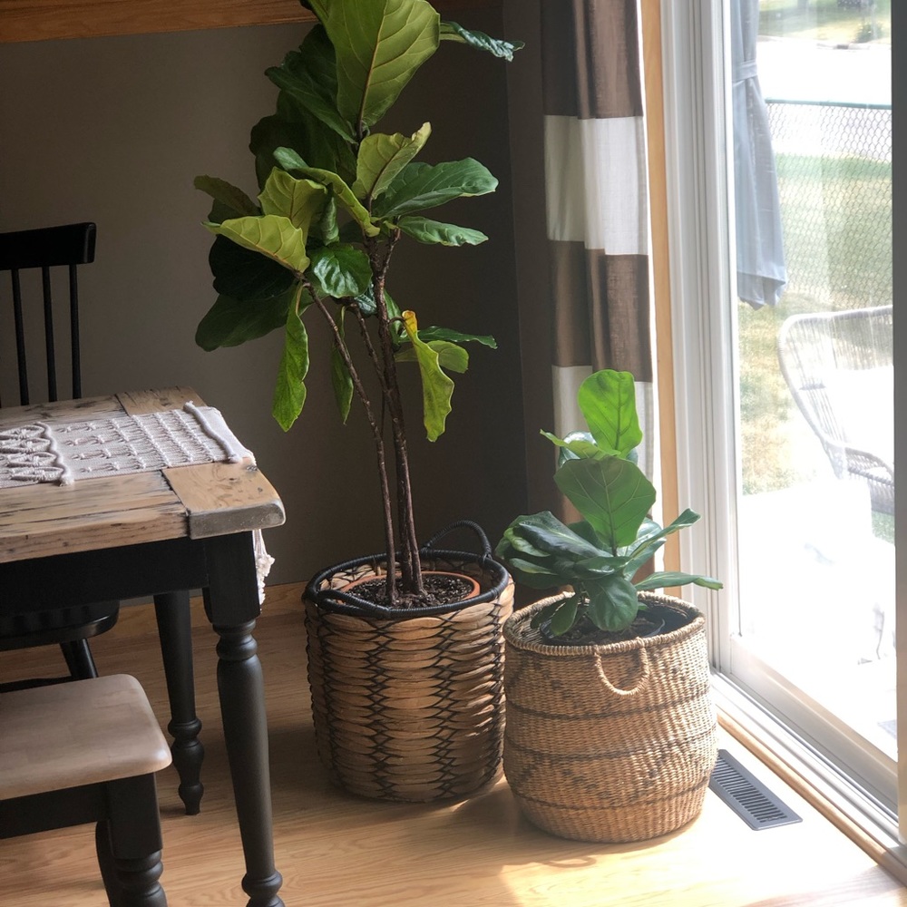 Meet your Posher, Erica